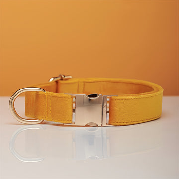 Goldenrod Yellow