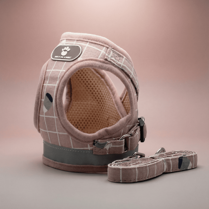 Breathable Mesh Dog Harness & Leash