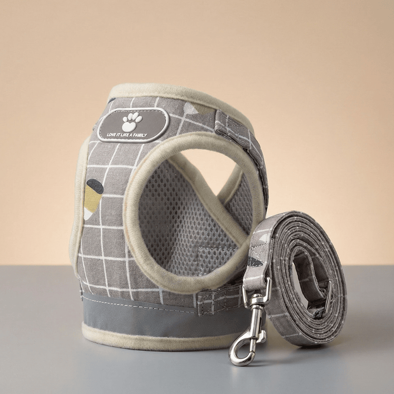 Breathable Mesh Dog Harness & Leash