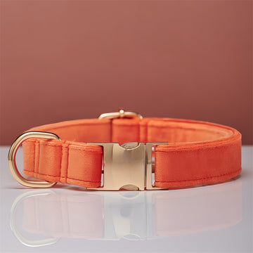 Terracotta Orange